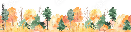 Watercolor seamless border with autumn forest, fir trees, pines, autumn trees and bushes photo