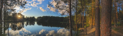 photography panorama view background beautiful forest lake at sunset surrounded by tall pine trees in hot weather, nature of russia, mari-el