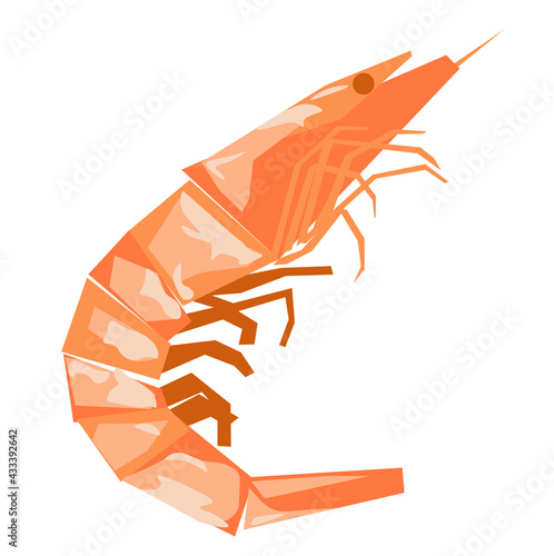 Shrimp vector stock illustration. Sea shellfish, shrimp. Isolated on a white background.