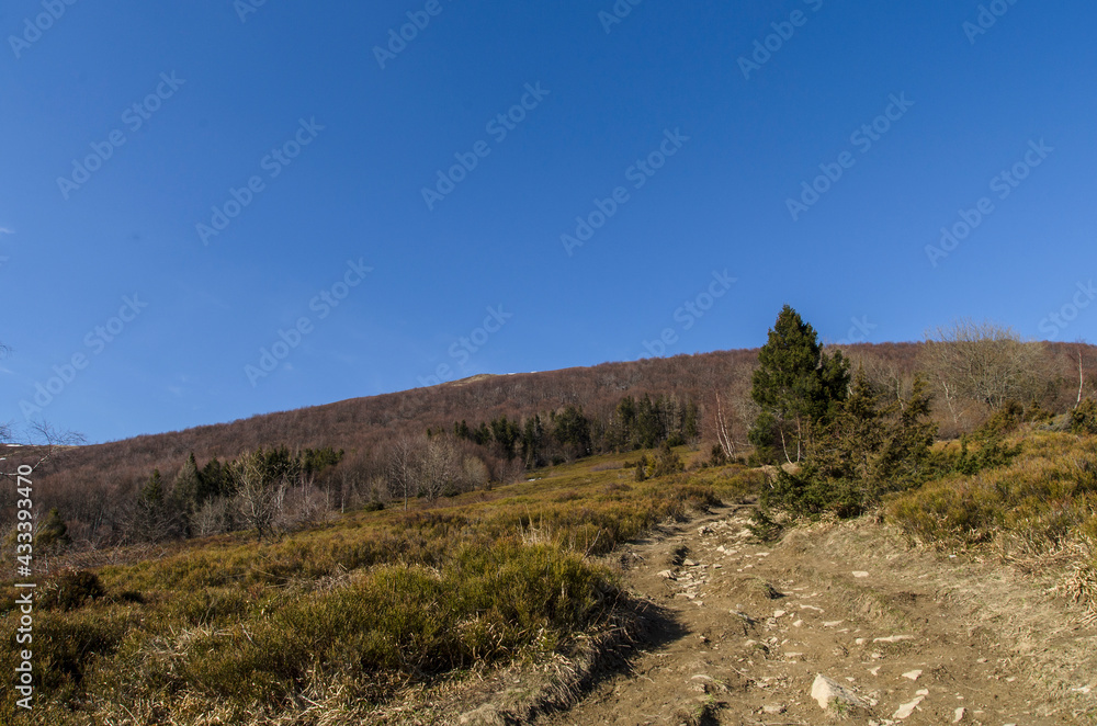 Bieszczady 