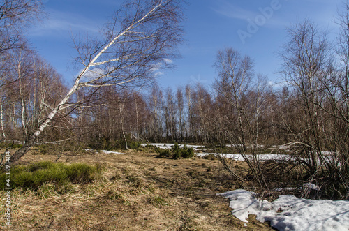 Bieszczady 