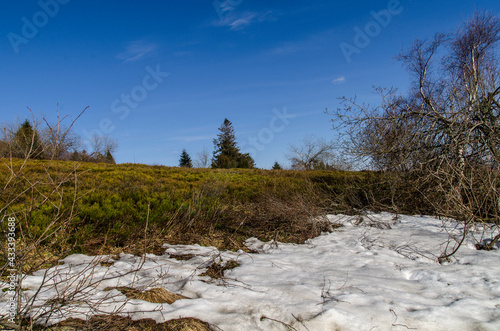 Fototapeta Naklejka Na Ścianę i Meble -  Bieszczady