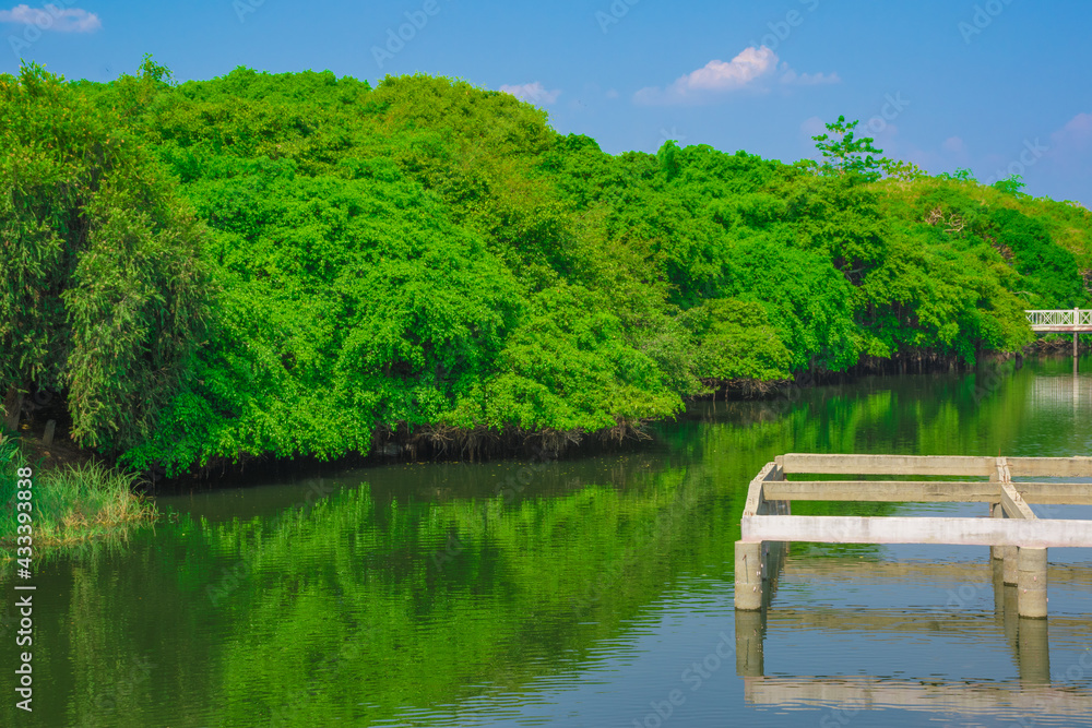 lake in the park