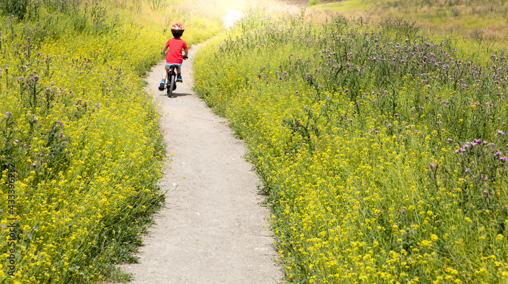 Obraz premium Boy cycling on a dirt road surrounded by flowers. Boy riding a bike outdoors in helmet