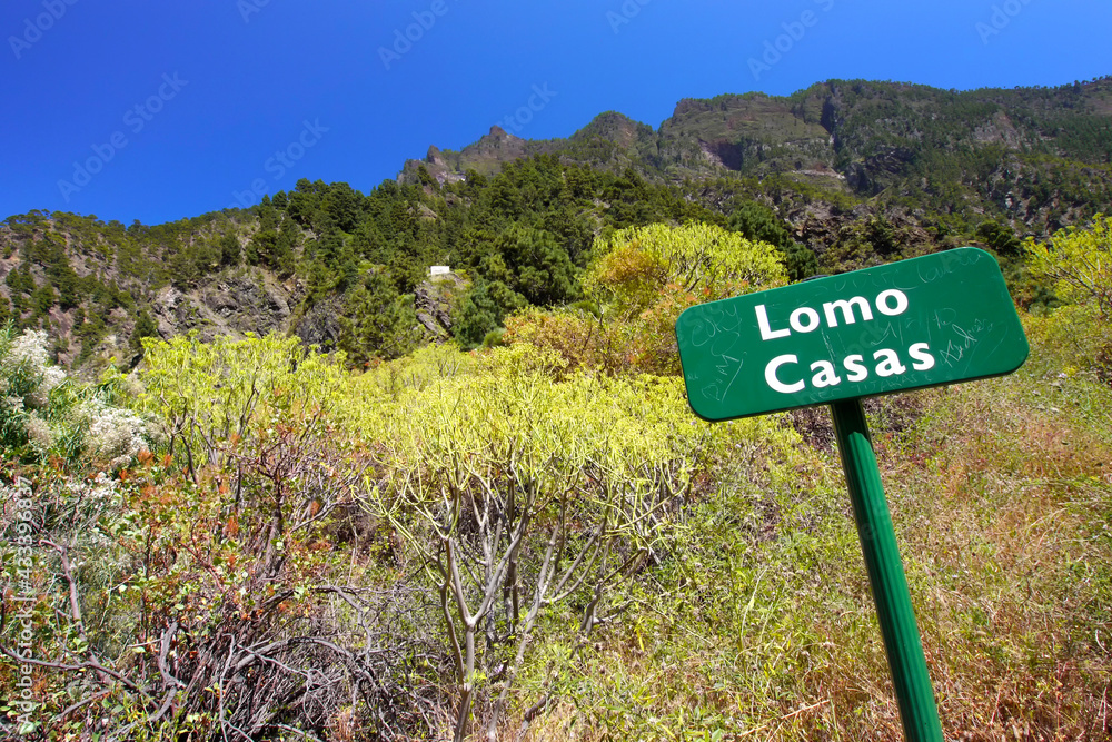 Lomo Casas. Barranco de las Angustias, Caldera de Taburiente National Park, Biosphere Reserve, ZEPA, LIC, La Palma, Canary Islands, Spain, Europe