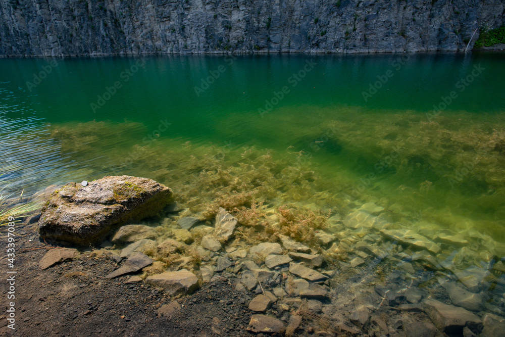 view of the lake and the green vegetation at the base of the rocky mountain