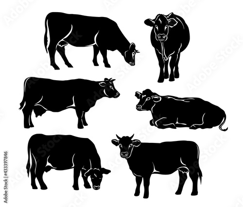 Cattle silhouette set in black color. Cows standing, lying, eating, grazing, side and front view