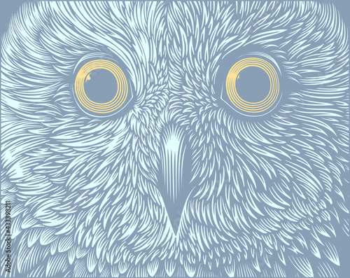 Owl Portrait. Editable hand drawn illustration. Vector vintage engraving. 8 EPS