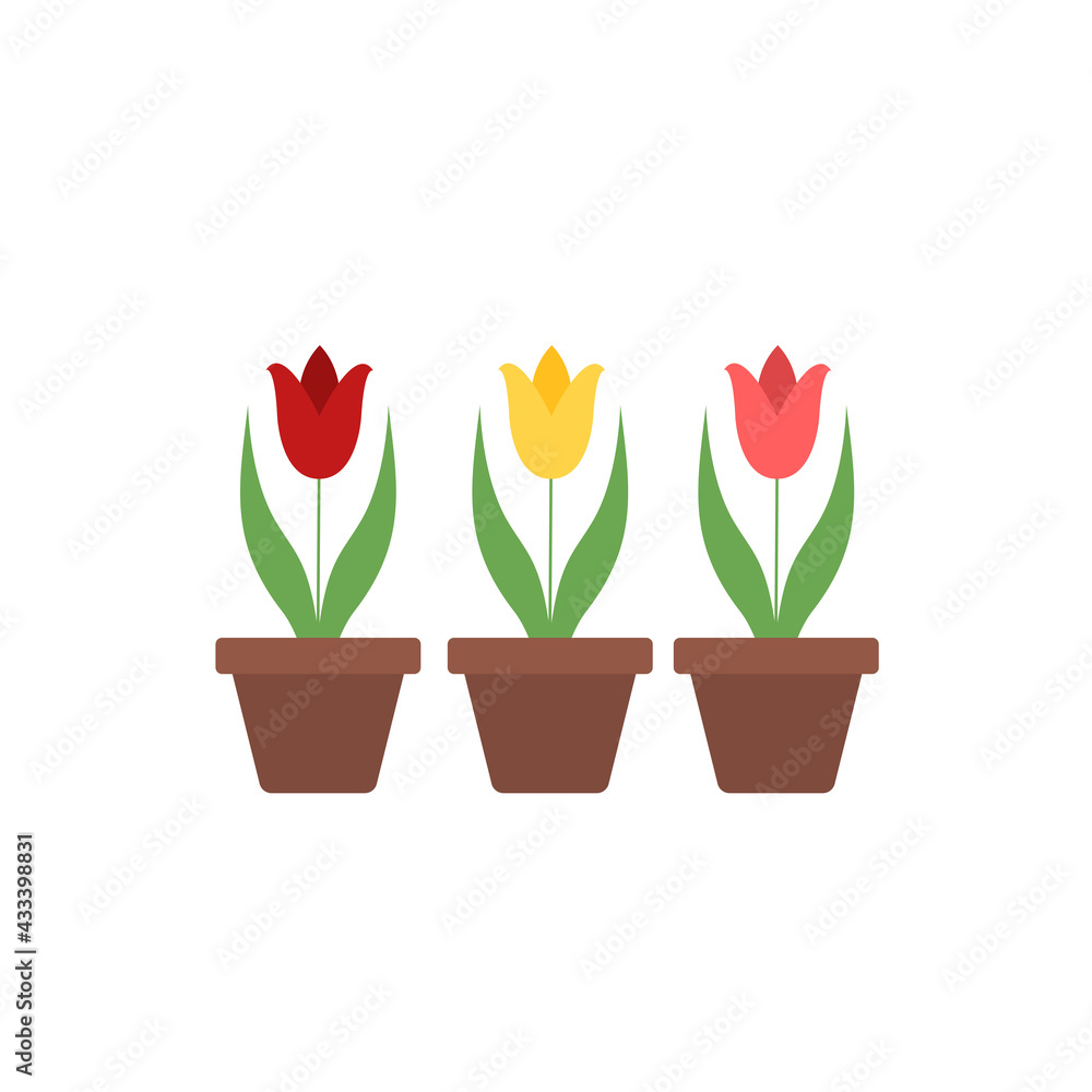 Tulips in pots vector illustration isolated on white. Potted plants in flat style Tulips in pots vector illustration isolated on white. Potted plants in flat style