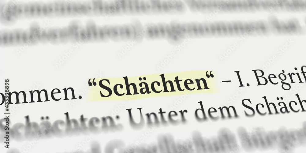 Das Wort Schächten im Buch mit Textmarker markiert Das Wort Schächten im Buch mit Textmarker markiert