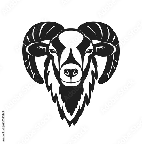 Mouflon sheep  head vector illustration