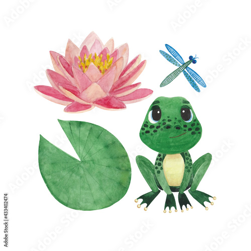 Fototapet A set of watercolor illustrations with lotus leaves and flowers, a frog and a dr