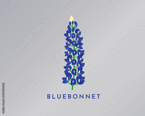 BlueBonnet Vector