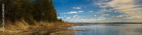 beautiful spring landscape. picturesque wide panoramic view of a large lake with coastal trees and dry reeds in shallow water under a blue cloudy sky in good weather. Naroch, Belarus