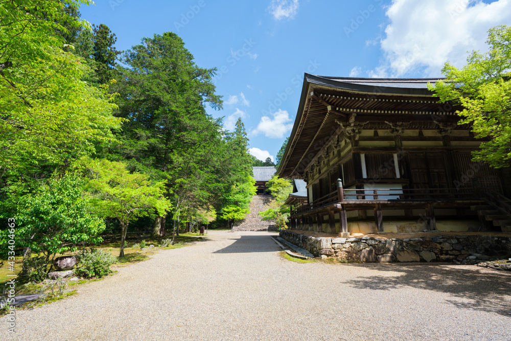 Obraz premium 京都 神護寺の新緑