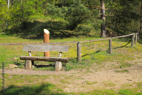 Картината върху платно A resting place along the hiking trail on lake Wannsee, Berlin - Germany
