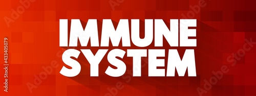 Wallpaper Mural Immune System text, health concept background Torontodigital.ca