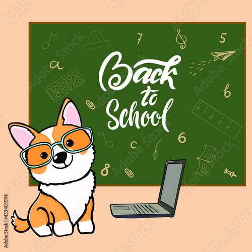 dog corgi back to school cartoon illustration. Cute friendly welsh corgi friend wearing glasses, near the school board.