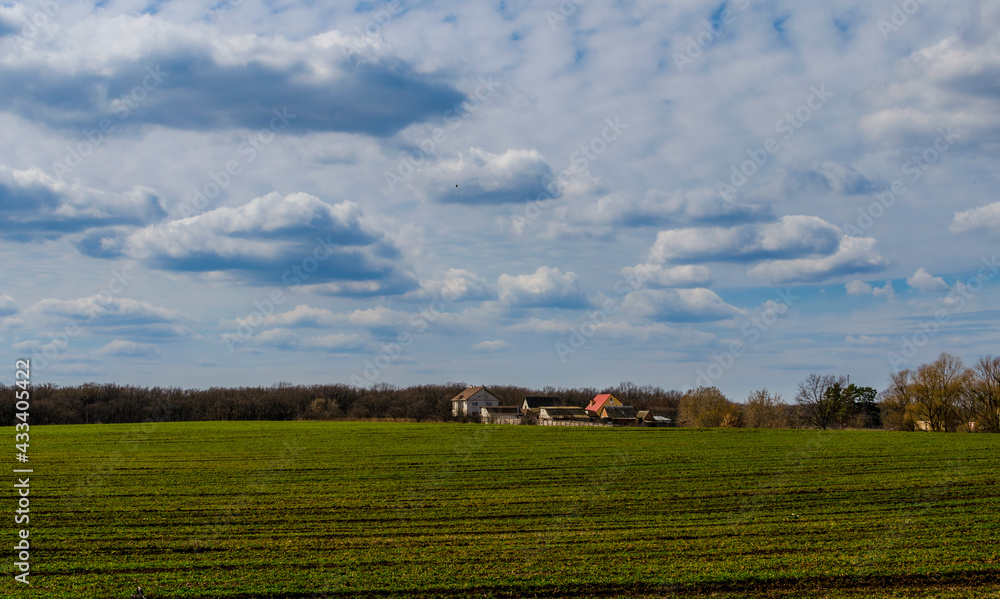 Village houses in the middle of field in spring