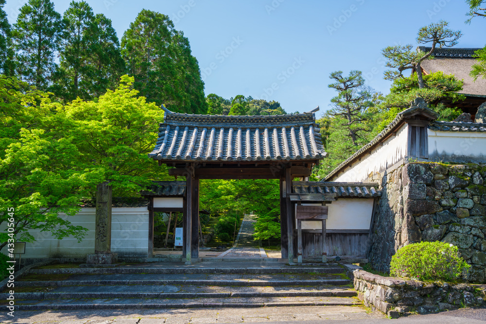 京都　一休寺の総門と新緑　