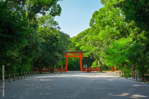 京都 下鴨神社の鳥居と糺の森