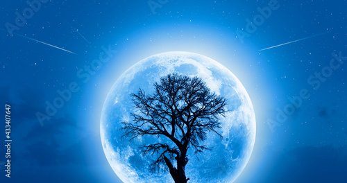 Lone dead tree with super full blue Moon 