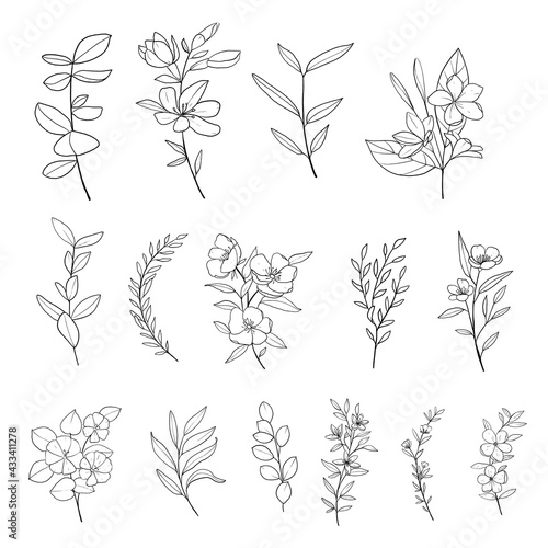 Set of hand-drawn floral elements  plants and flowers. Isolated branches on a white background. 