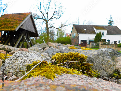 Das Moss auf der Kirchenmauer photo