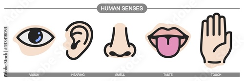 Five human senses icons set. Vision hearing smell touch taste signs