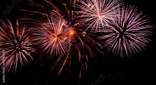 Bright festive fireworks against the night sky. Firework Fiery flowers during the holiday.