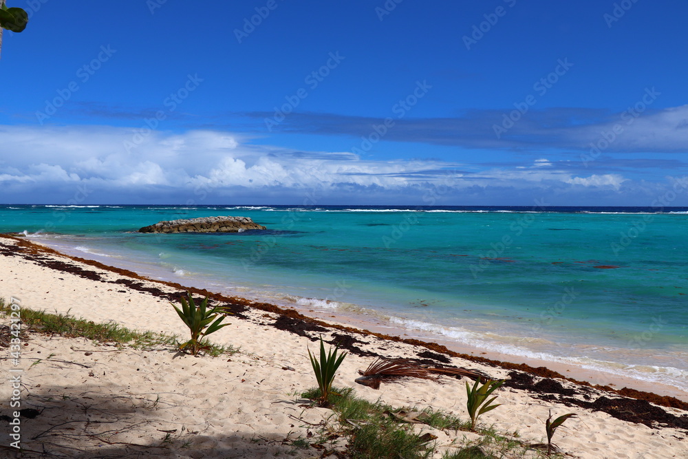 Anse Canot île de Marie Galante Guadeloupe Caraïbes Antilles Françaises