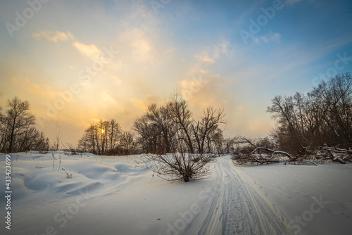 Winter sunrise over the frozen river and bare trees © MKozloff