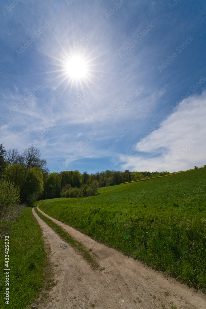 field path surrounded by meadows and trees with a blue sky and a beautiful sun star