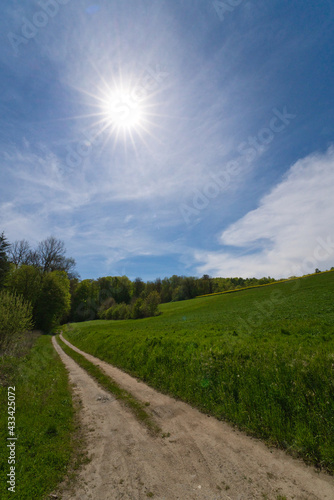 field path surrounded by meadows and trees with a blue sky and a beautiful sun star