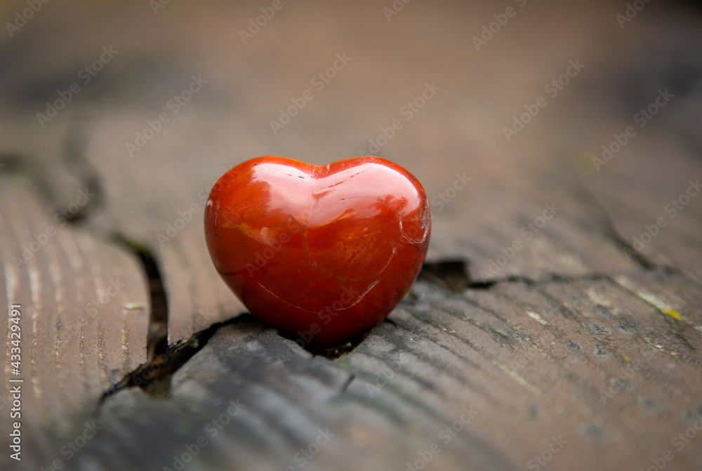 Fototapeta premium Love