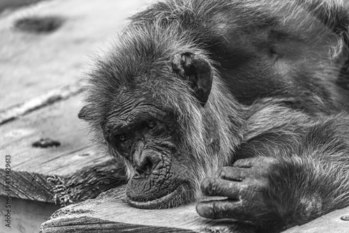 qu'est ce que je pourrais bien faire