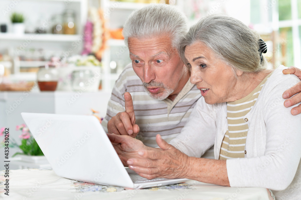 senior couple using laptop at home senior couple using laptop at home