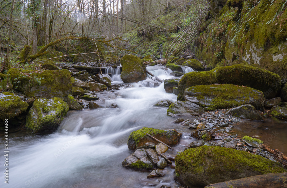 river surrounded by stones in forest river surrounded by stones in forest