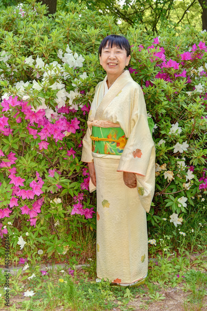 躑躅と和服女性 躑躅と和服女性