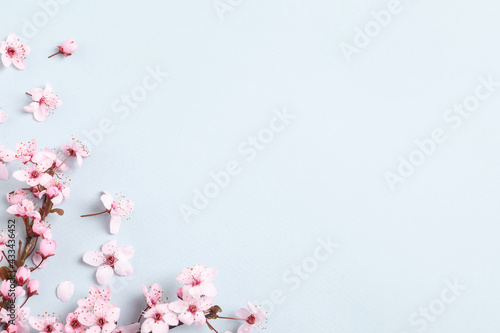 Beautiful spring tree blossoms as border on light background, flat lay. Space for text
