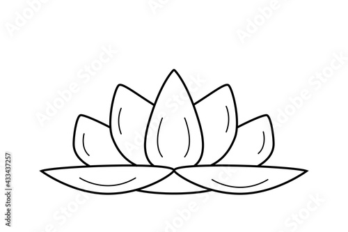 Lotus lily flower. Vector illustration of a lotus outline isolated on white.