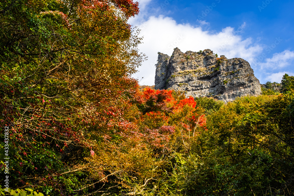 【香川県 小豆島】紅葉した秋の寒霞渓　自然風景	