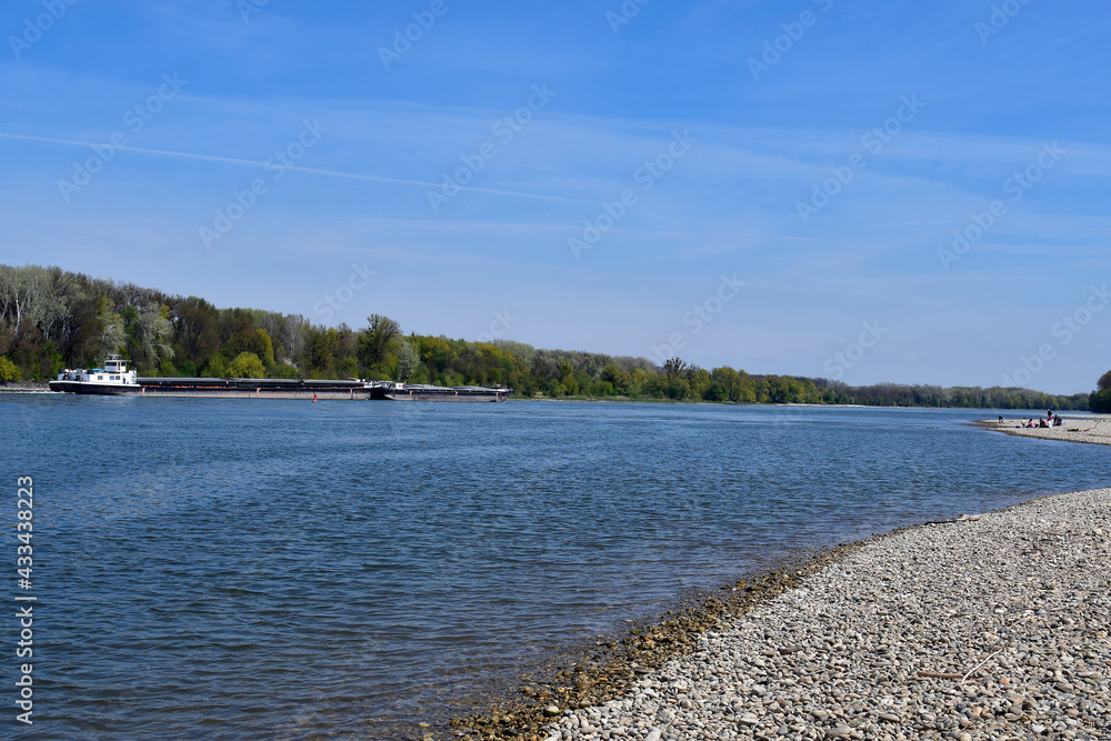 Austria, National Park Donau-Auen Austria, National Park Donau-Auen