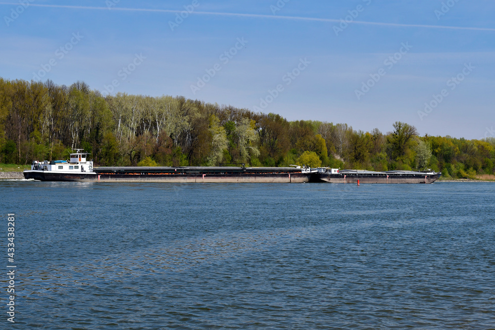 Obraz premium Austria, National Park Donau-Auen