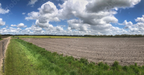 Uffelte es. Field. Uffelter es. Panorama in  spring. Drente Netherlands. Country road. Dirtroad.