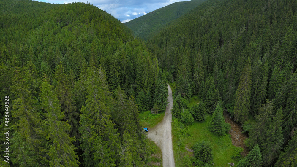 A gravel road winding along Sadu river through wild, green, coniferous forests of Cindrel Mountains. Carpathia, Romania. - obrazy, fototapety, plakaty 