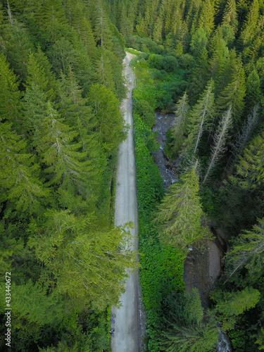 Vertical panorama of a gravel road winding along Cibin river through wild, green, coniferous forests of Cindrel Mountains. Carpathia, Romania. photo