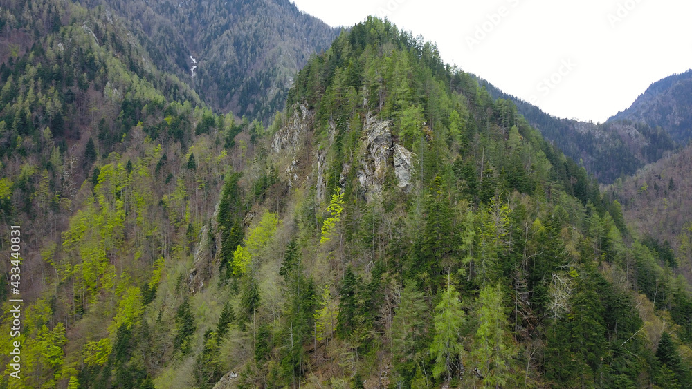 Aerial drone panorama of a wooded rocky mountain crest in Latorita Valley. The steep Mountain sides are covered with dense coniferous and beech forests. Springtime, Latorita Massif, Carpathia, Romania