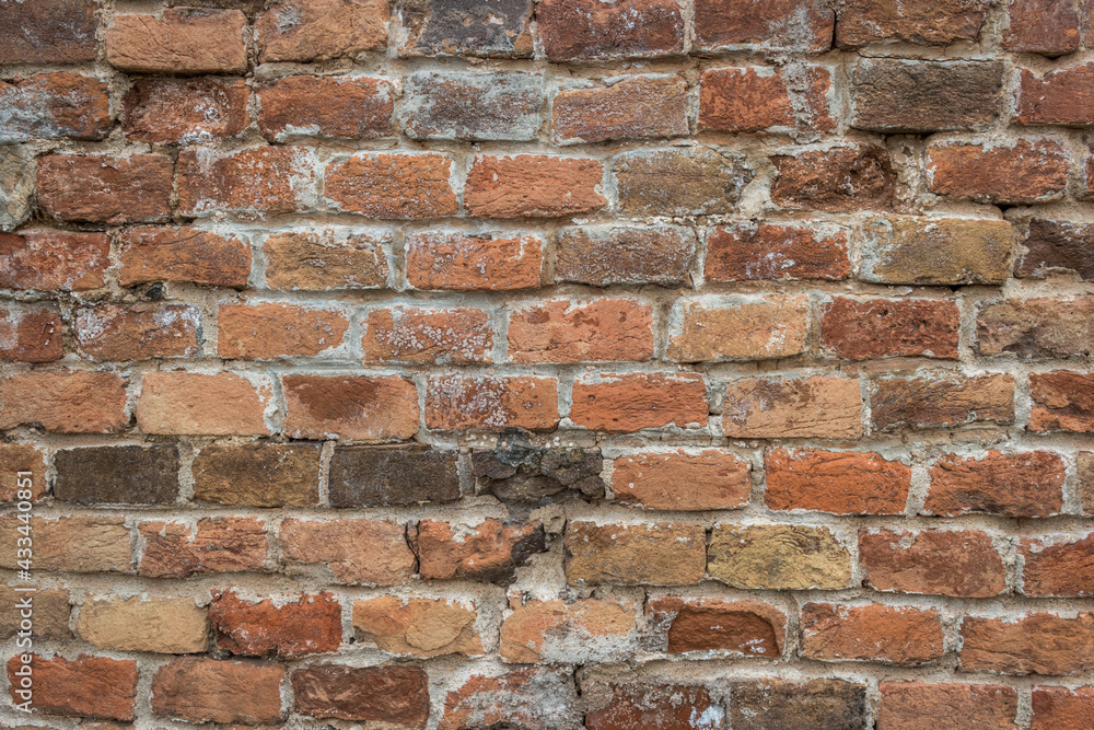 Old brick wall grouted with lime mortar Old brick wall grouted with lime mortar