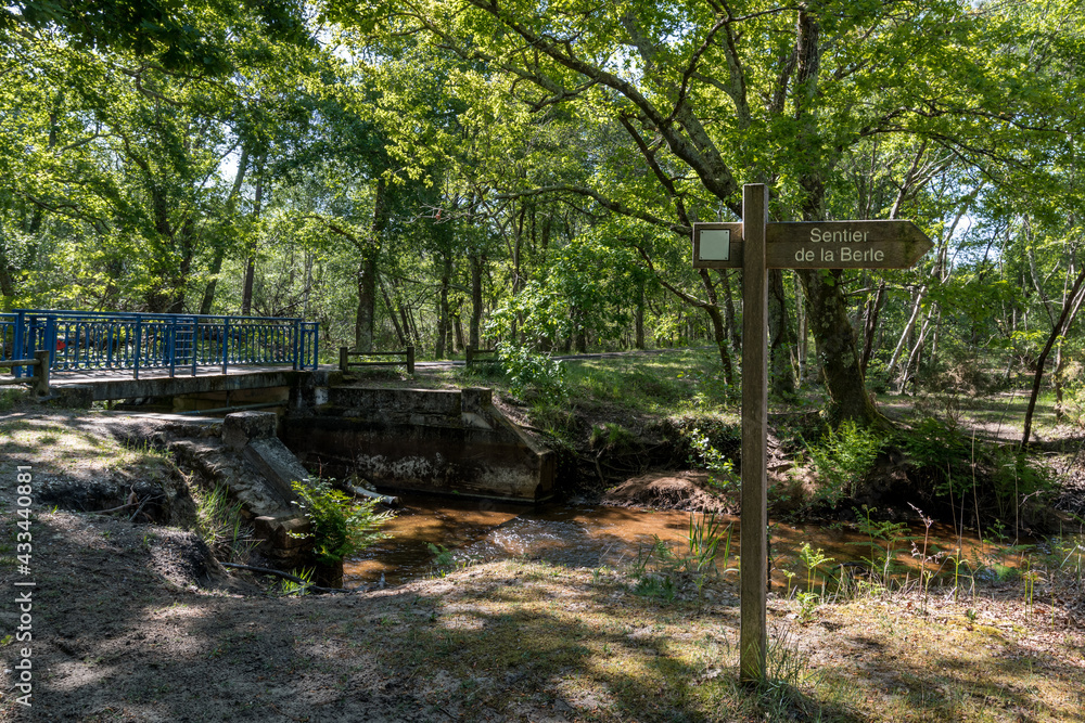 LACANAU (Gironde, France), départ du sentier de promenade de la Berle LACANAU (Gironde, France), départ du sentier de promenade de la Berle